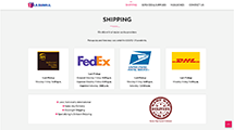 Flashmail Shipping Services Design